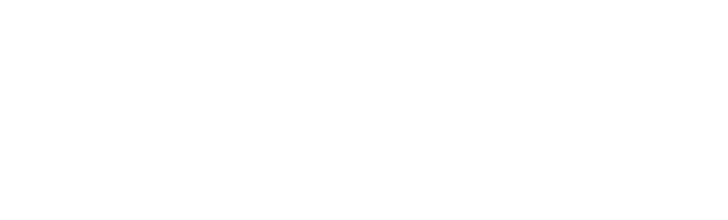 Logo Website Flecovex 3